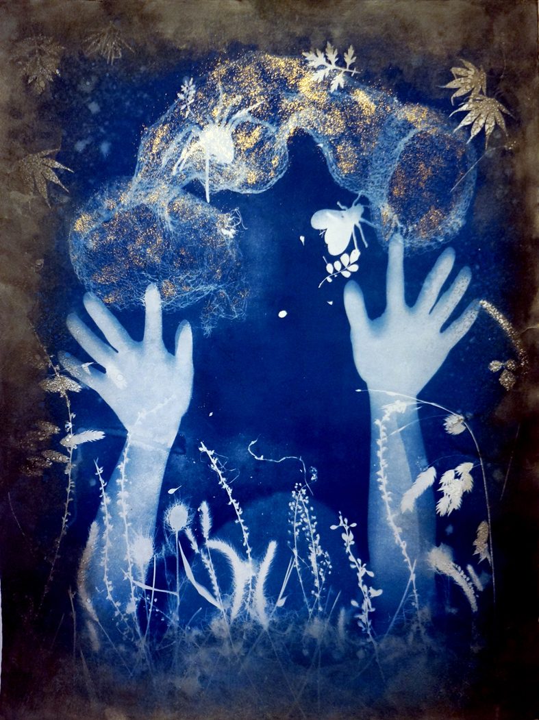 Foliage III by Sarah Tse